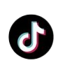 TikTok Logo
